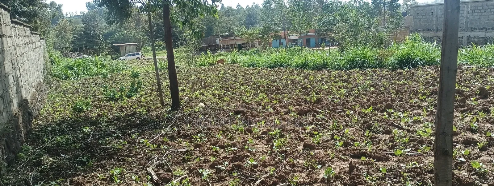 100*100 Plot for Sale in Lussigetti, Kikuyu in Nachu