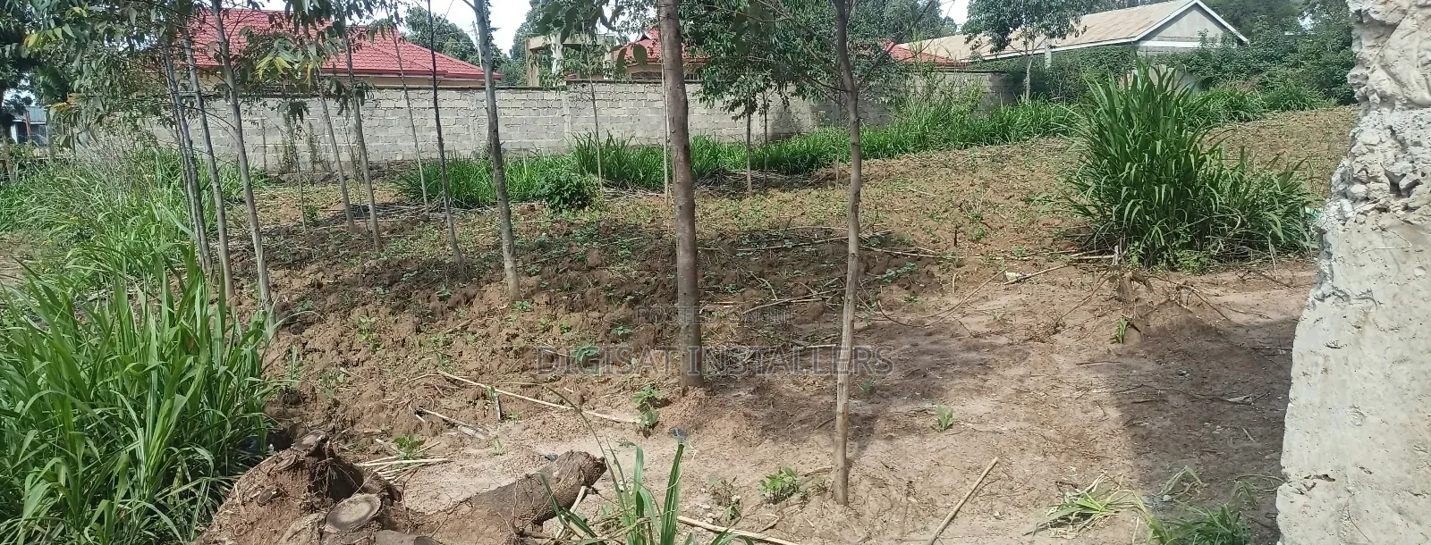 100*100 Plot for Sale in Lussigetti, Kikuyu in Nachu