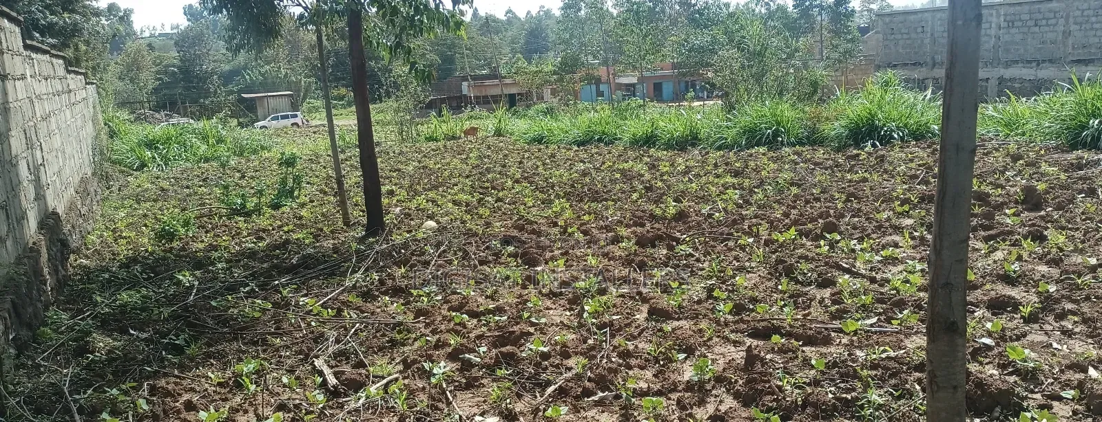 100*100 Plot for Sale in Lussigetti, Kikuyu in Nachu