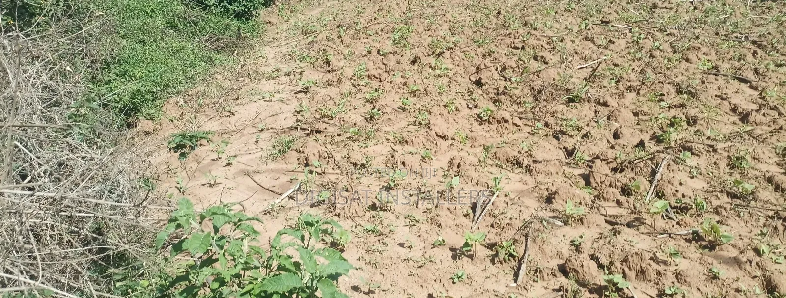 Plot 50*100 on Sale in Ndacha, Nachu Ward, Lussigetti, Kikuyu, Kiambu in Nachu
