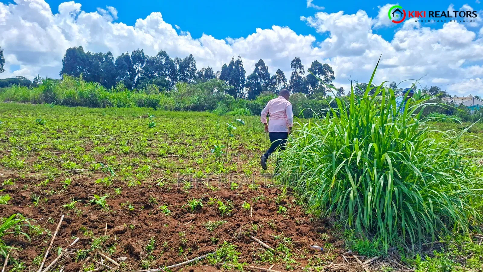 Kikuyu Plots for Sale in Kikuyu