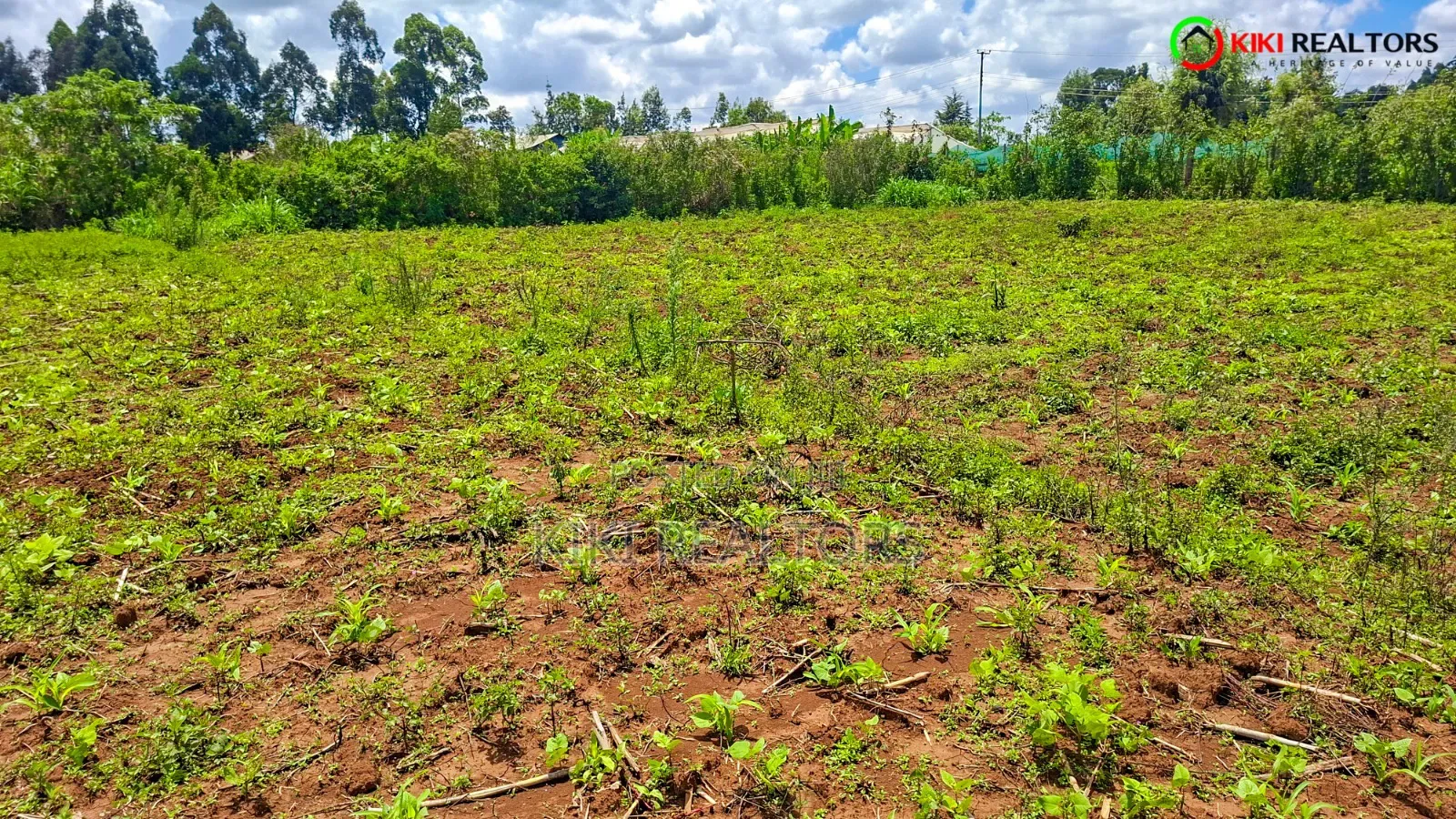 Kikuyu Plots for Sale in Kikuyu
