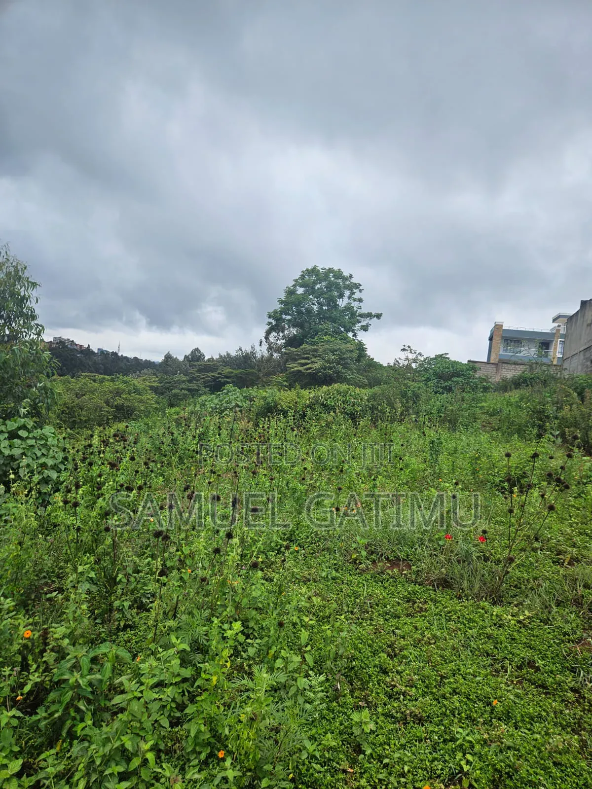 Njoro Ngewa Road 50/100 Plot for Sale in Kiambaa