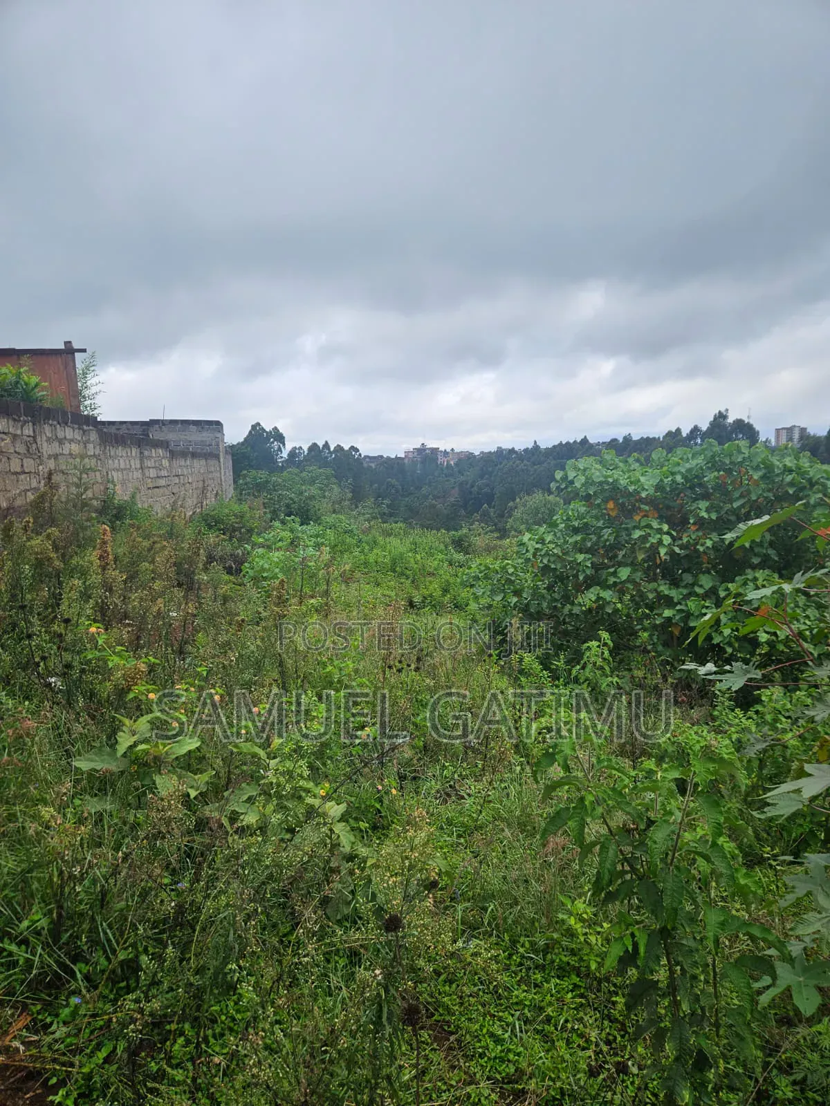 Njoro Ngewa Road 50/100 Plot for Sale in Kiambaa