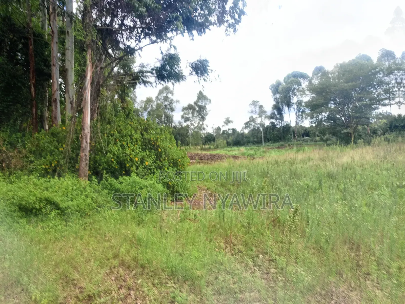 2 Acres and 1 Acreas on Sale in Nanyuki