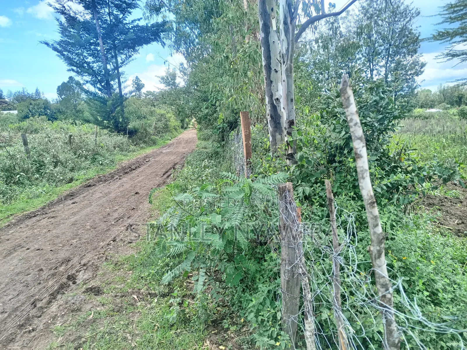 2 Acres and 1 Acreas on Sale in Nanyuki
