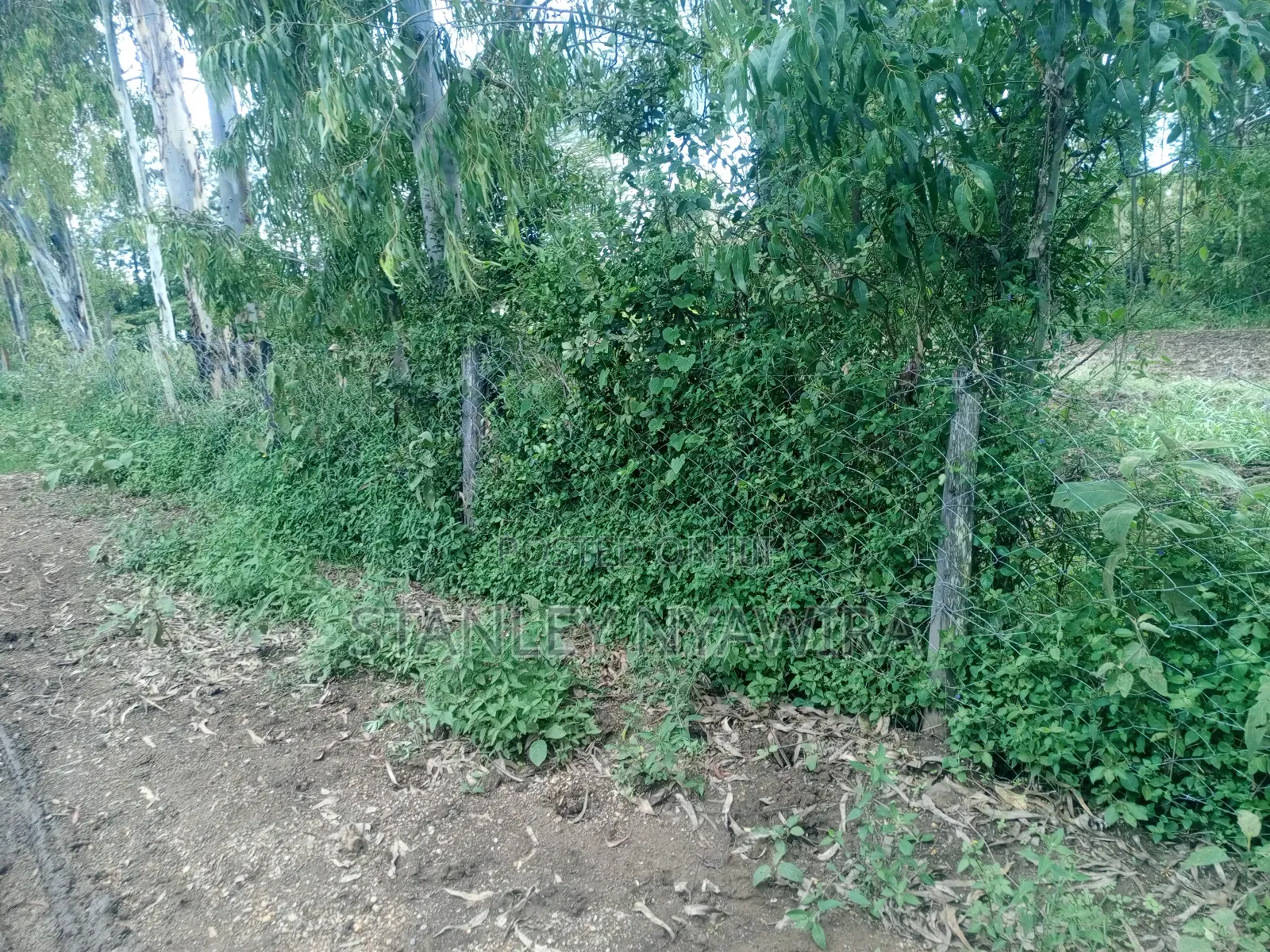 2 Acres and 1 Acreas on Sale in Nanyuki