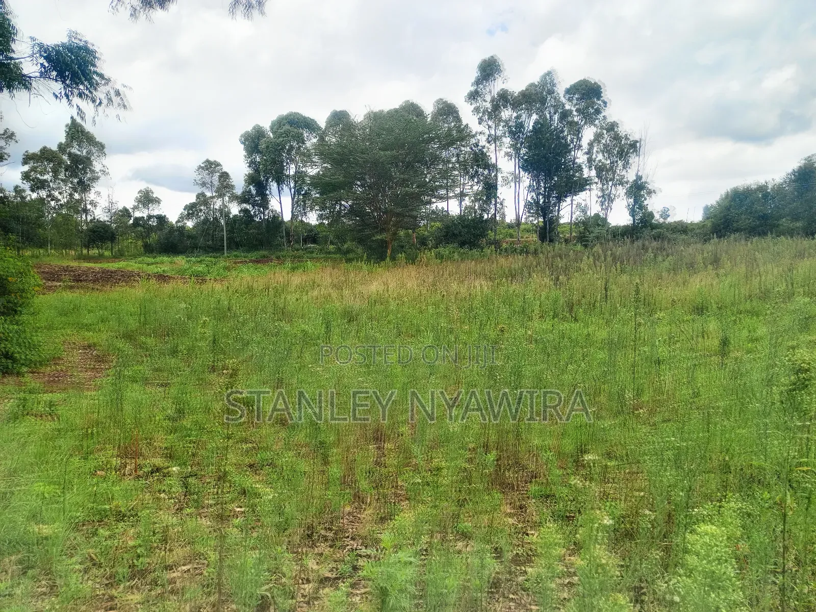 2 Acres and 1 Acreas on Sale in Nanyuki