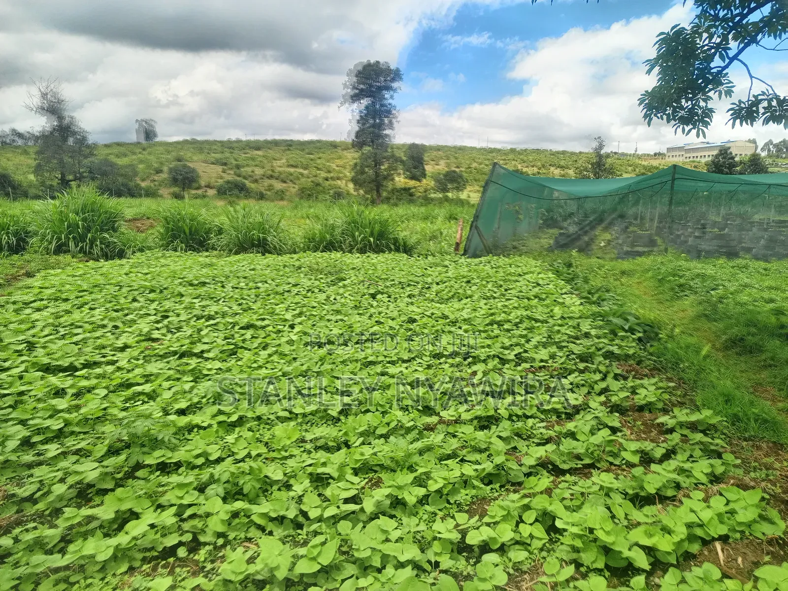 2 Prime Acrea Nanyuki in Nanyuki
