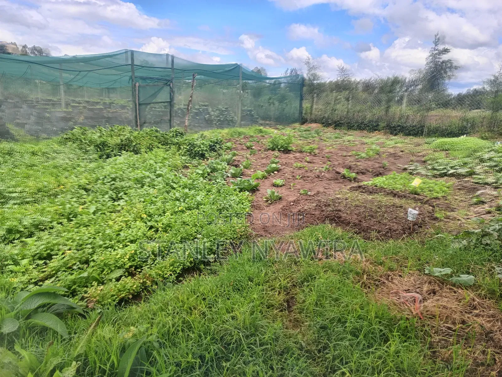 2 Prime Acrea Nanyuki in Nanyuki