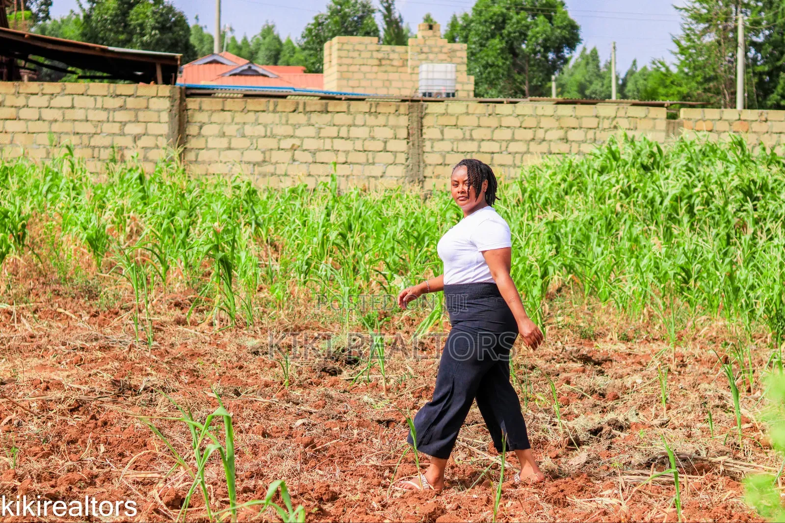 Kikuyu Sigona Plots in Kerwa in Kikuyu