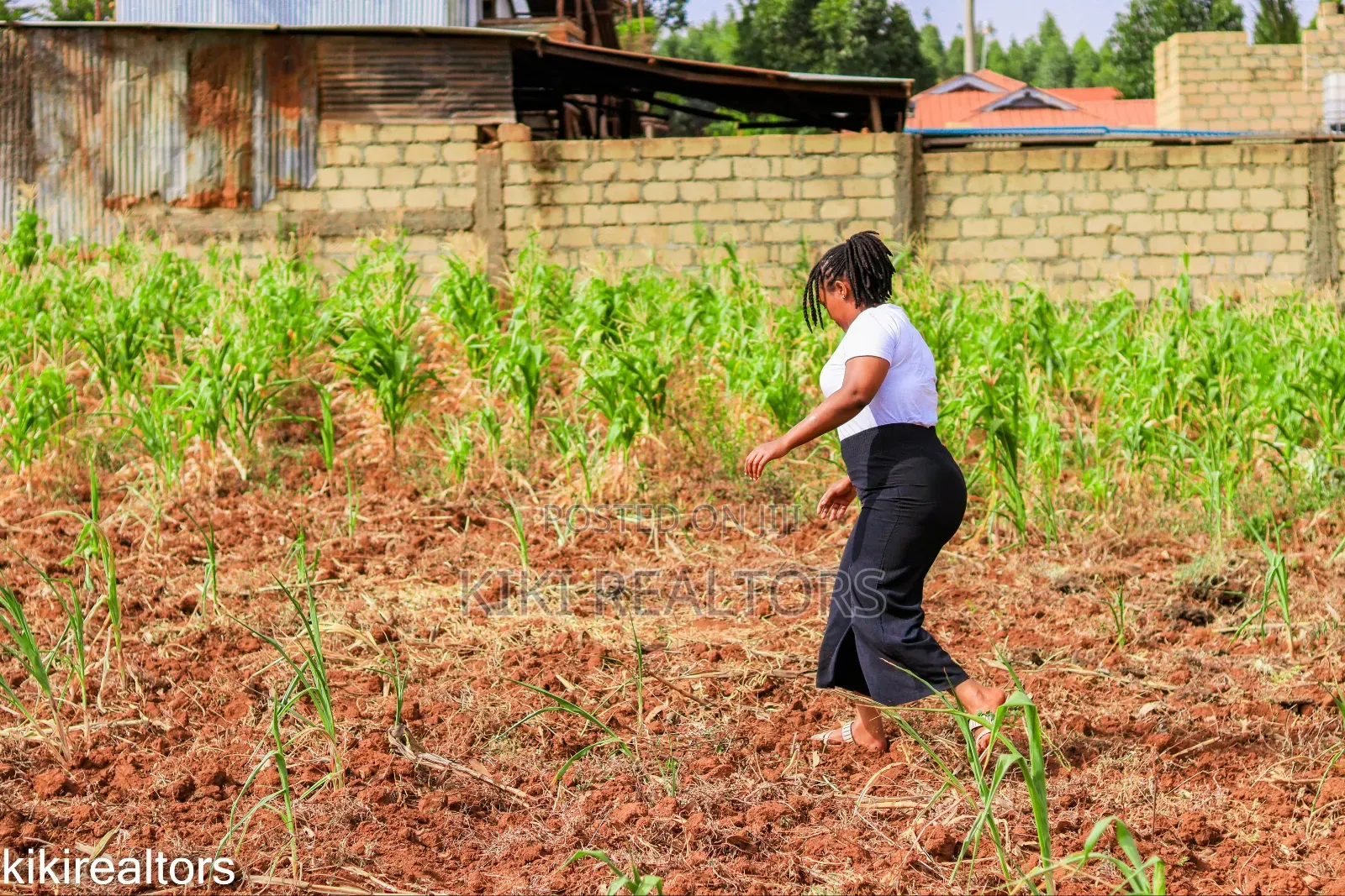 Kikuyu Sigona Plots in Kerwa in Kikuyu