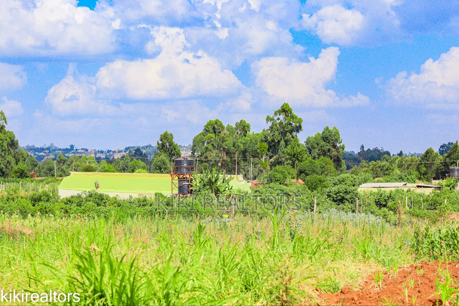 Kikuyu Sigona Plots in Kerwa in Kikuyu