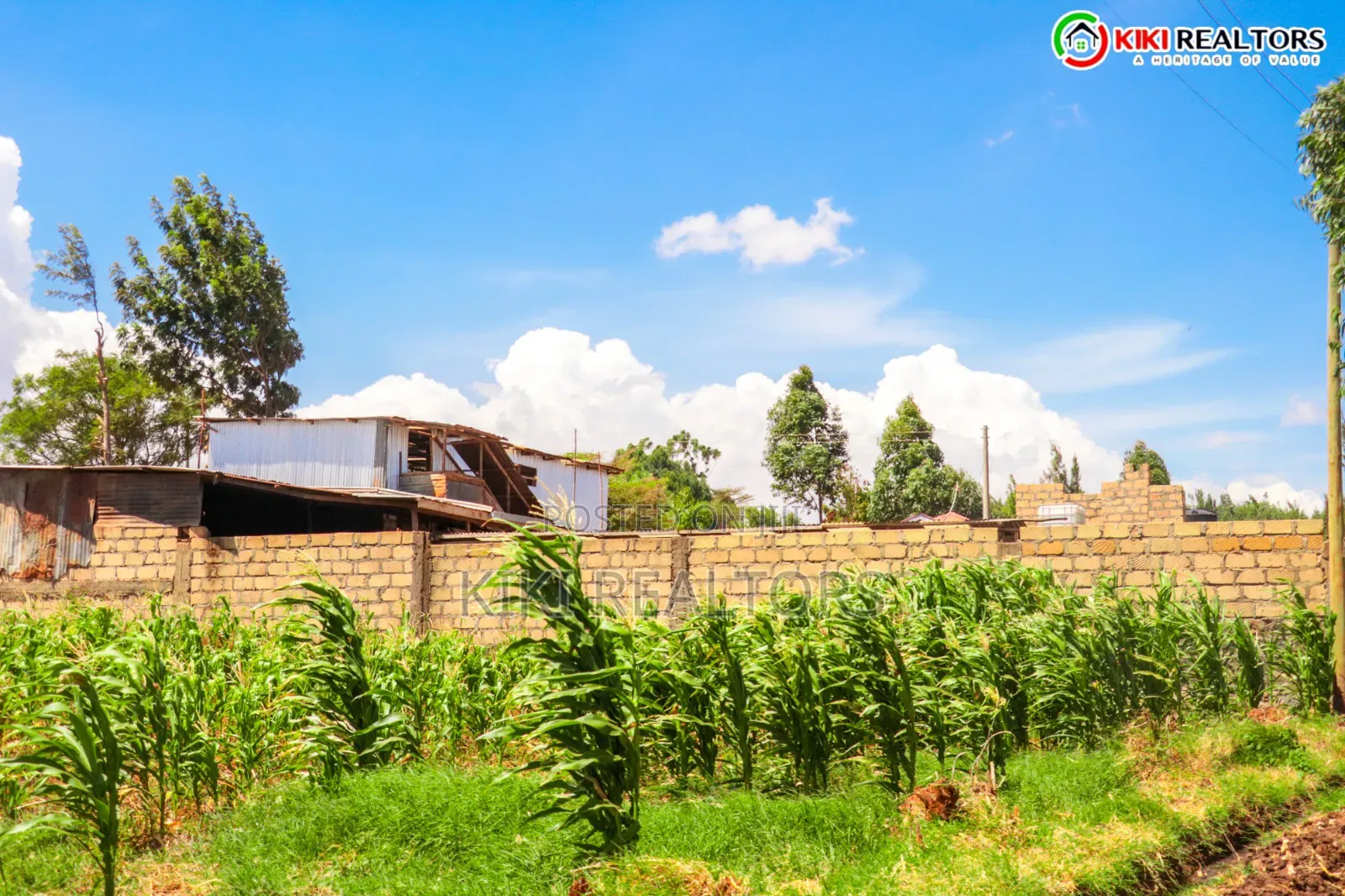 Kikuyu Sigona Plots in Kerwa in Kikuyu