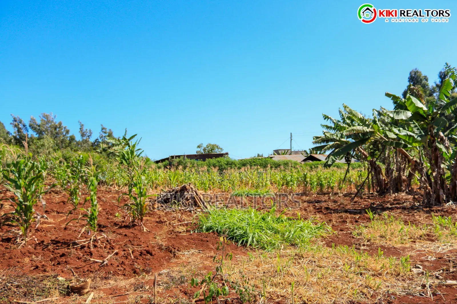Kikuyu Sigona Prime Plots (Kerwa) in Kikuyu