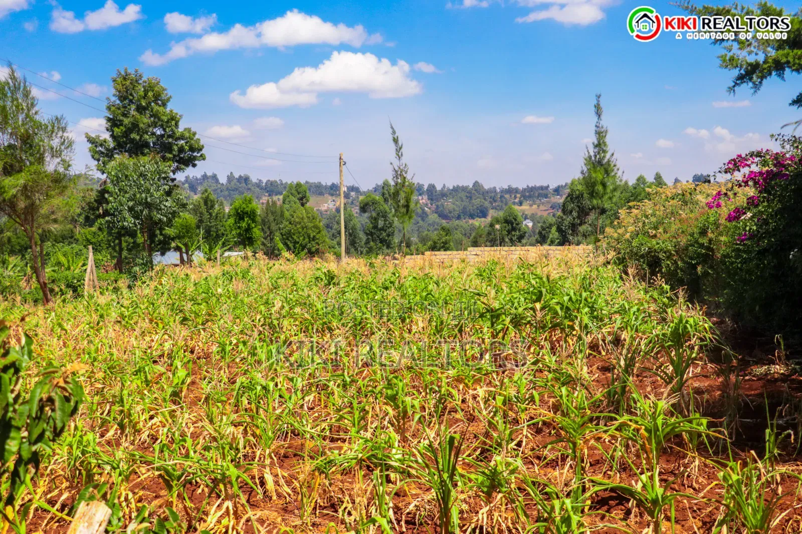 Kikuyu Sigona Prime Plots (Kerwa) in Kikuyu
