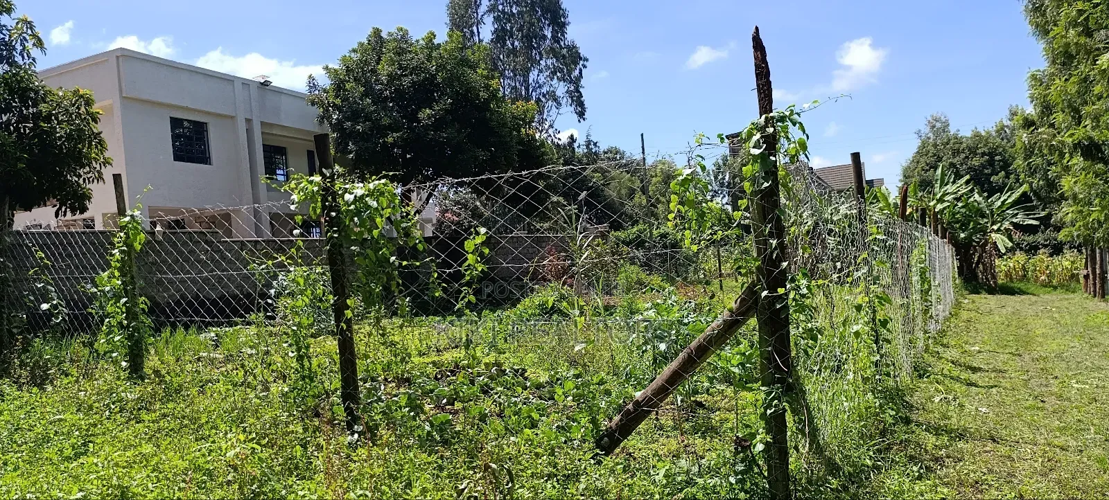 Kikuyu Prme Plots in Sigona Ward(Thamanda) in Kikuyu