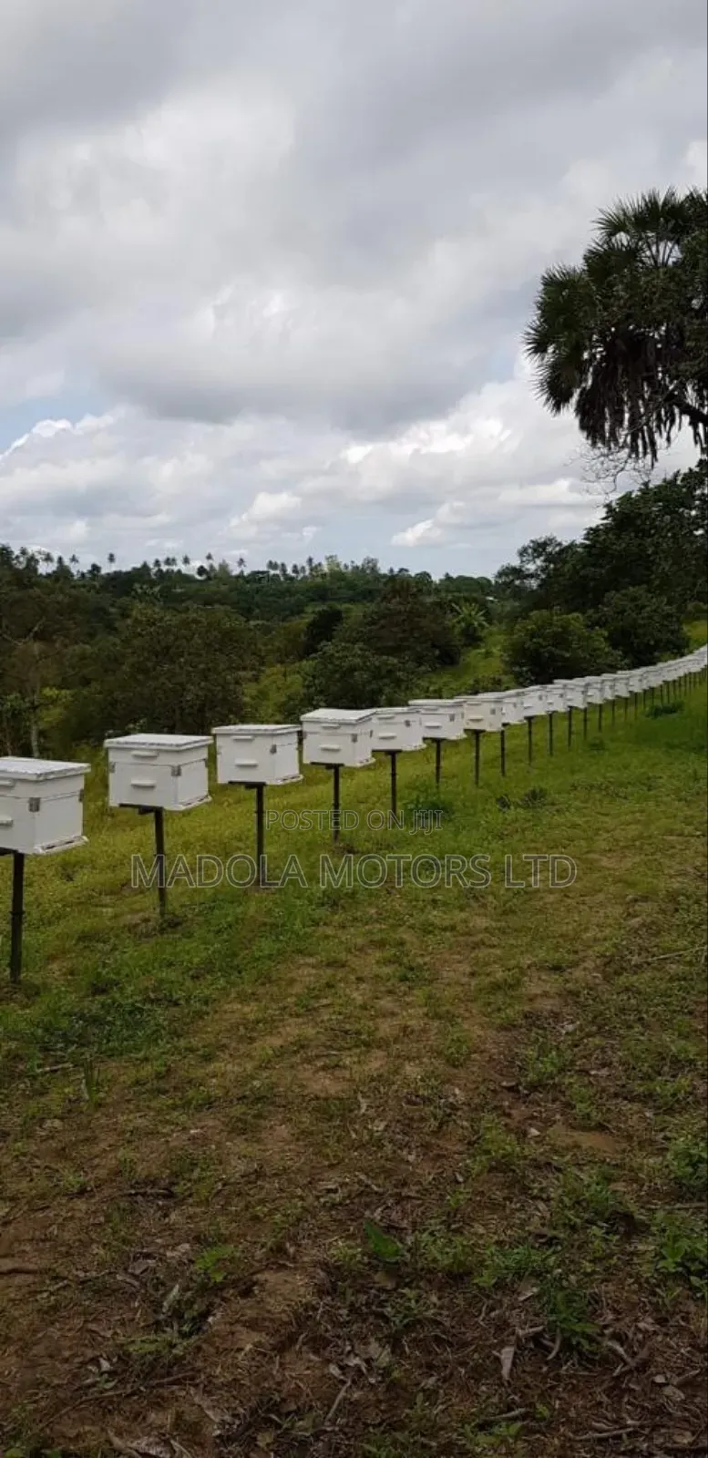 Fertile Farm for Sale in Shimba Hills in Mombasa CBD
