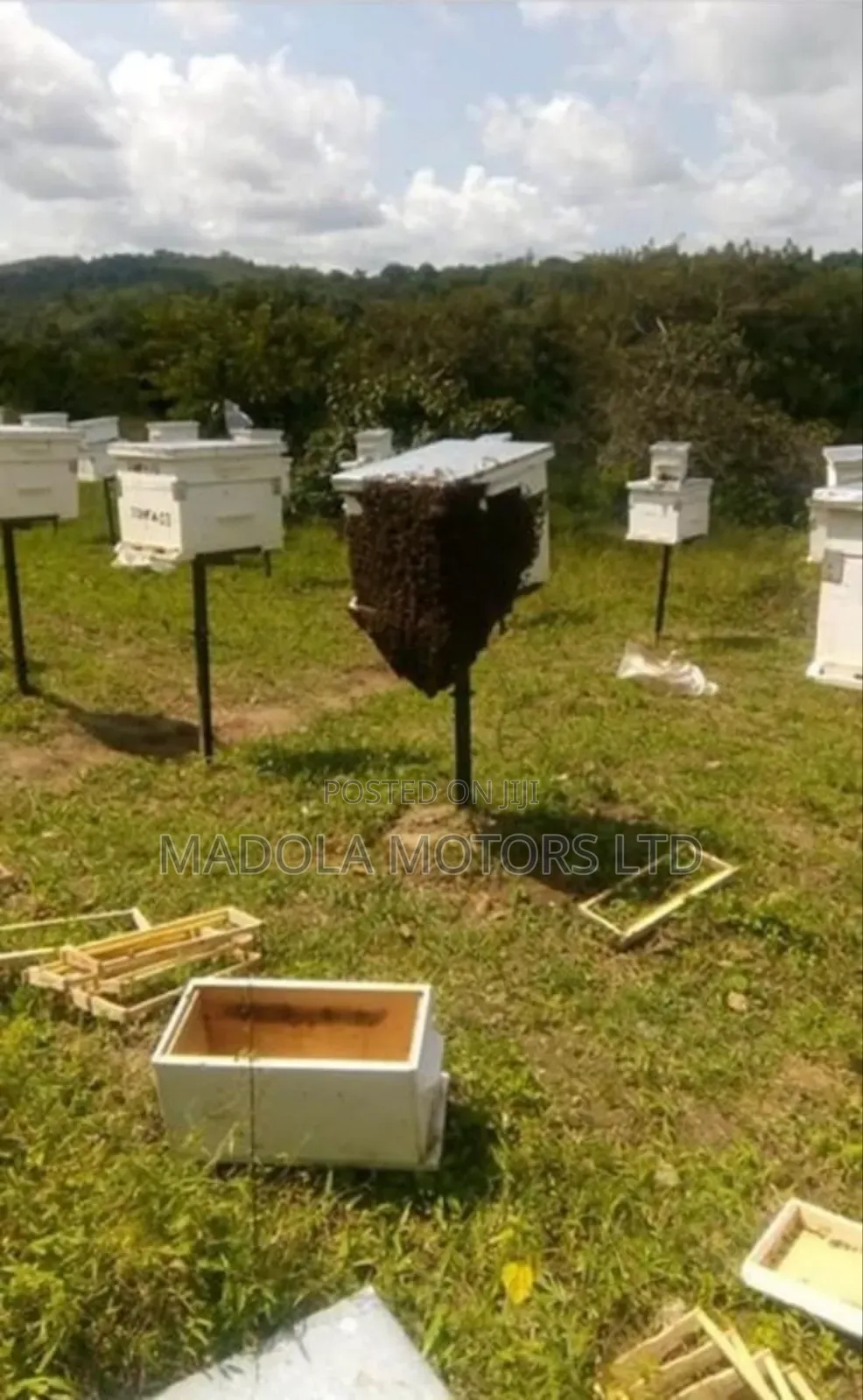 Fertile Farm for Sale in Shimba Hills in Mombasa CBD