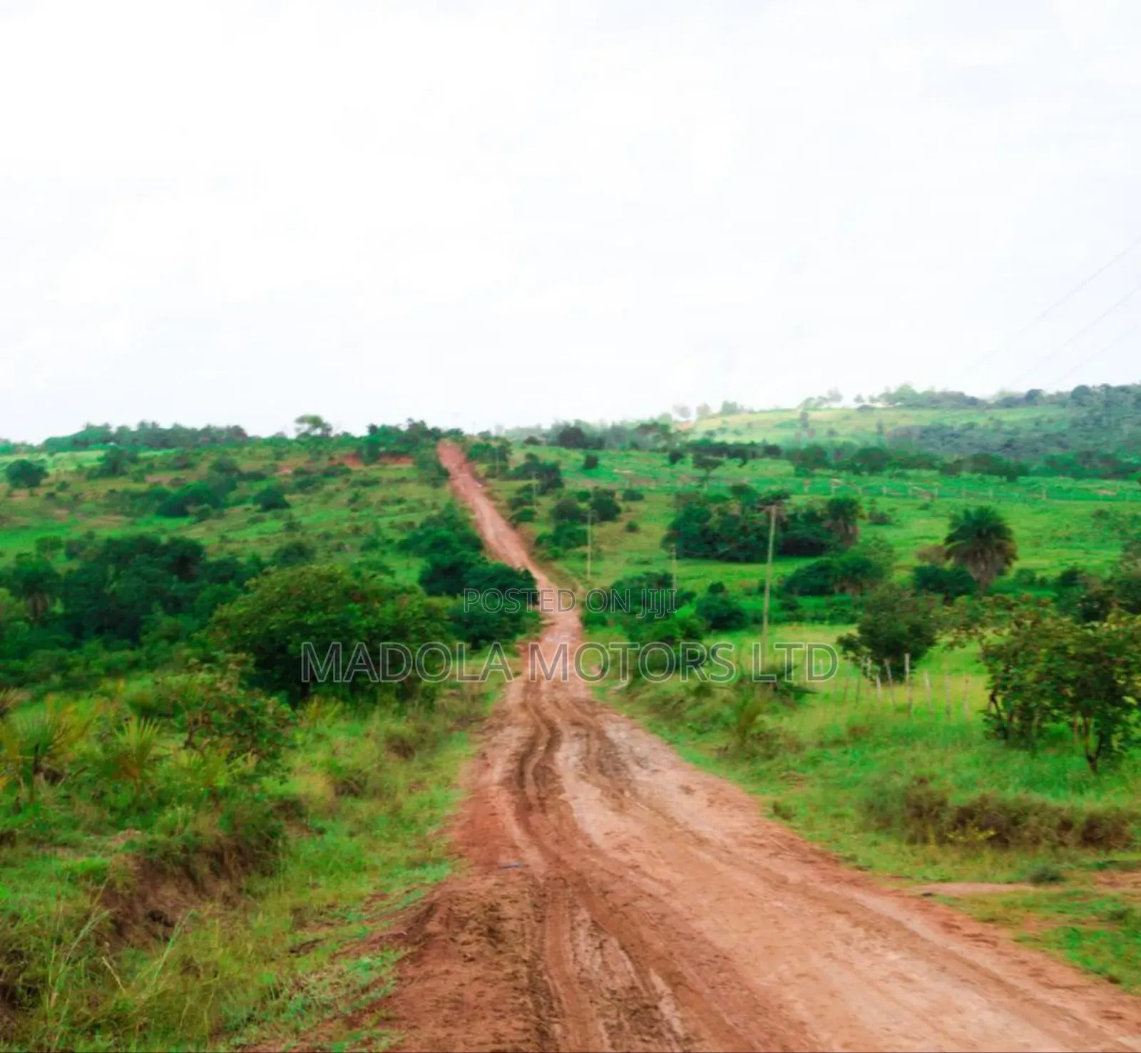Fertile Farm for Sale in Shimba Hills in Mombasa CBD