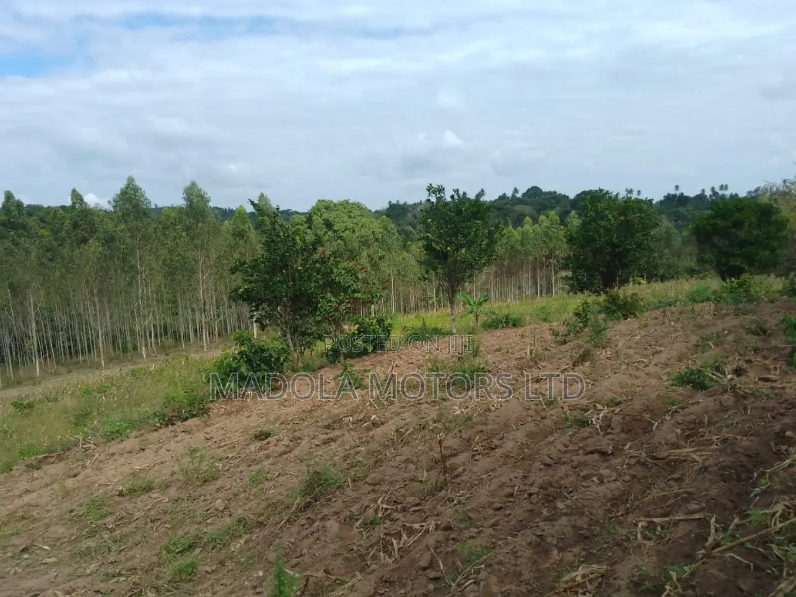 Fertile Farm for Sale in Shimba Hills in Mombasa CBD
