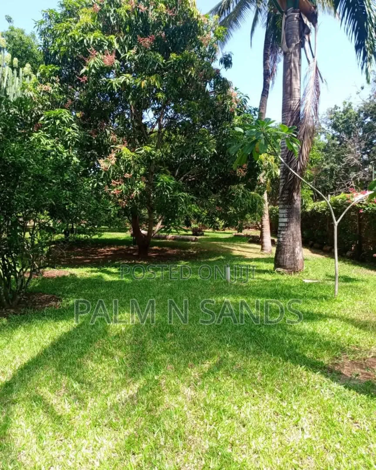 3bdrm House in Neptune, Diani for sale in Diani