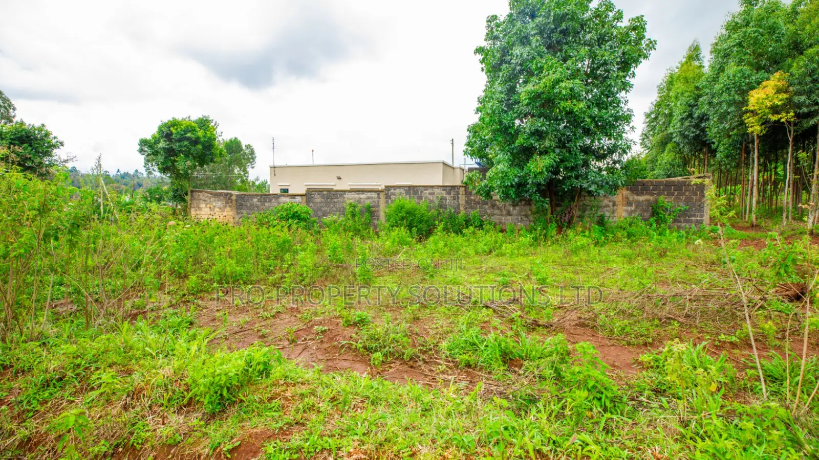 Prime Residential Plot for Sale in Kikuyu, Gikambura - Jambu Tv in Kikuyu