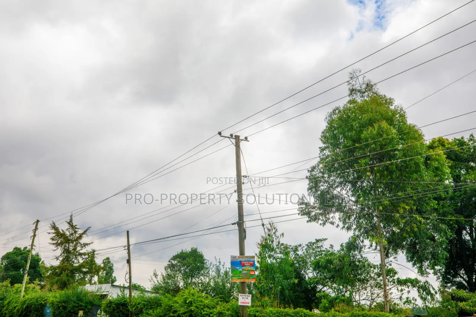 Prime Residential Plot for Sale in Kikuyu, Gikambura - Jambu Tv in Kikuyu