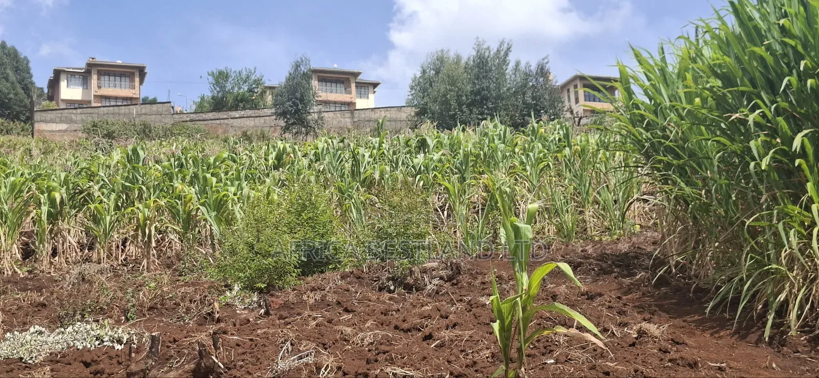 2.5 Acres Available Land for Sale in Kikuyu Muguga in Zambezi/Sigona