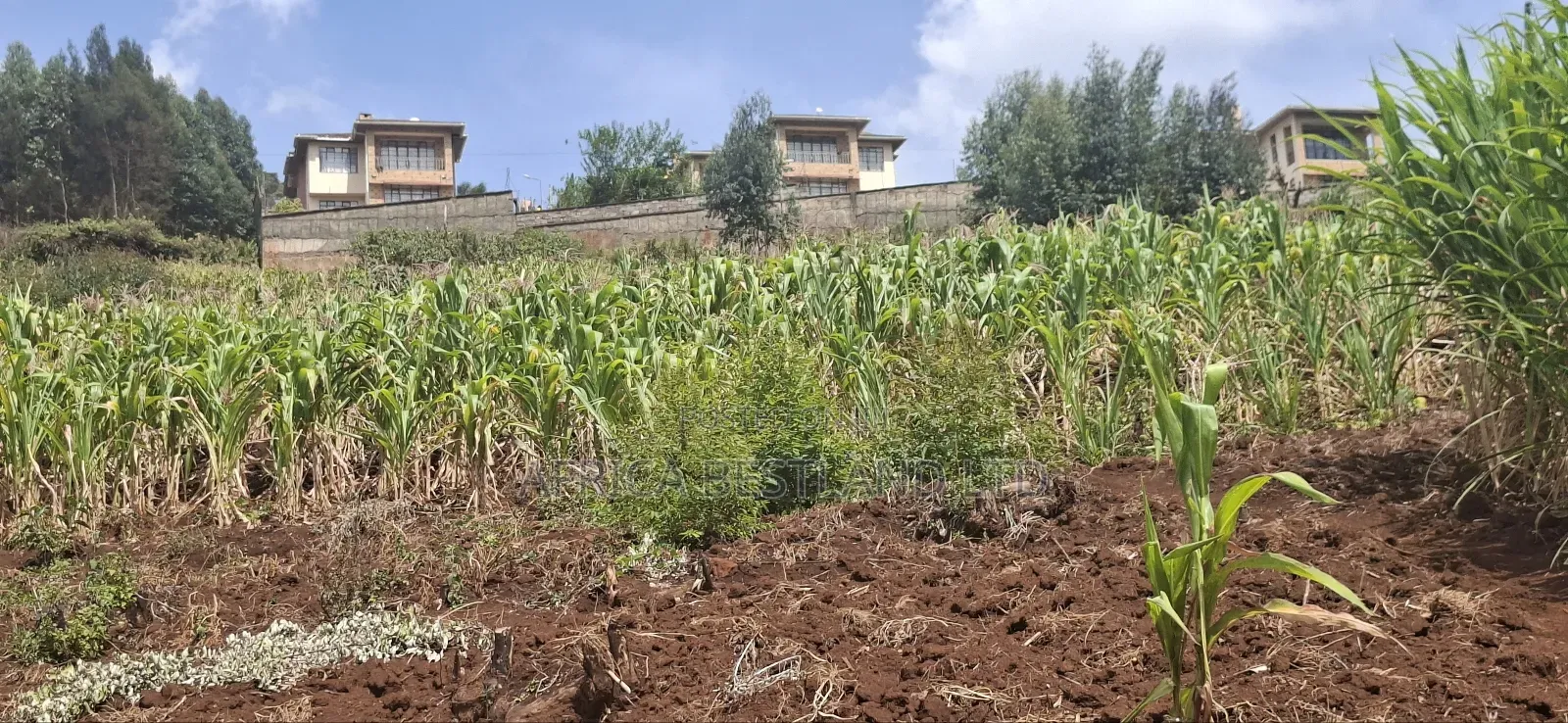 2.5 Acres Available Land for Sale in Kikuyu Muguga in Zambezi/Sigona