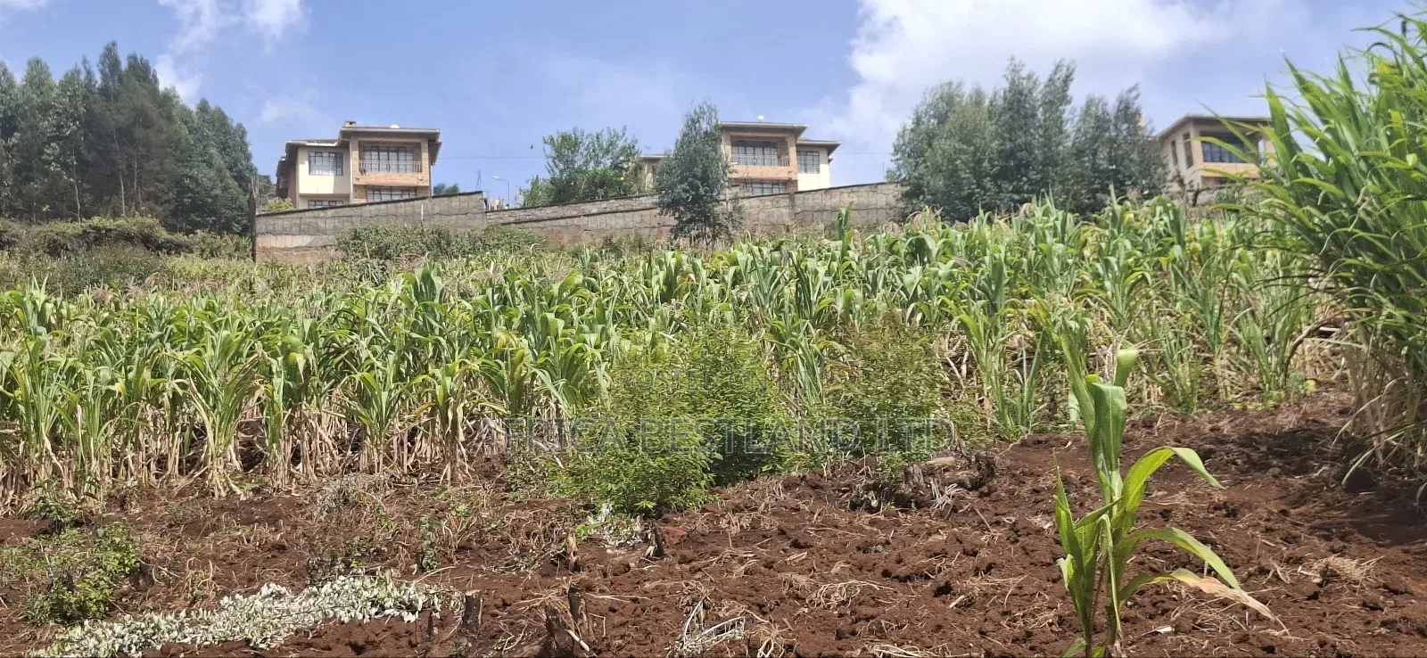 2.5 Acres Available Land for Sale in Kikuyu Muguga in Zambezi/Sigona