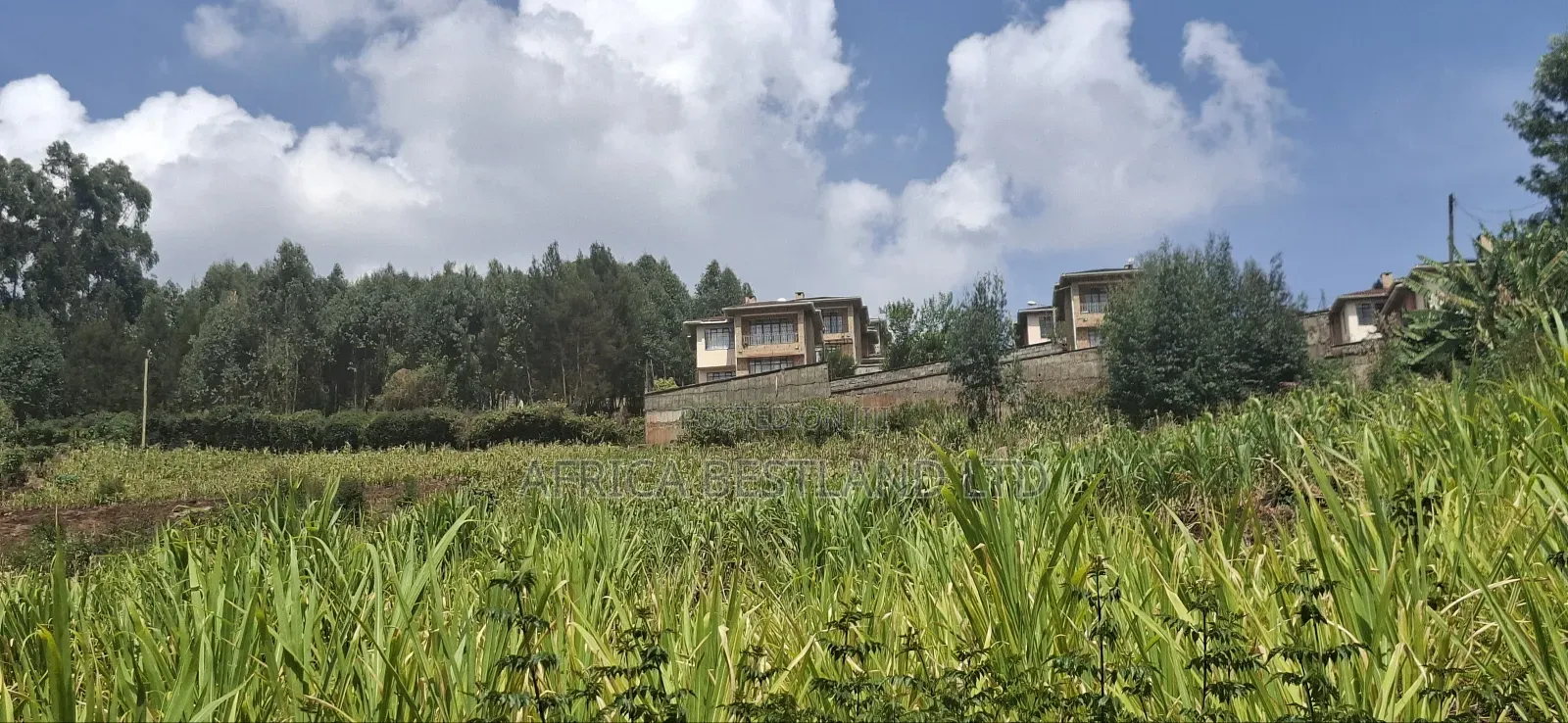 2.5 Acres Available Land for Sale in Kikuyu Muguga in Zambezi/Sigona