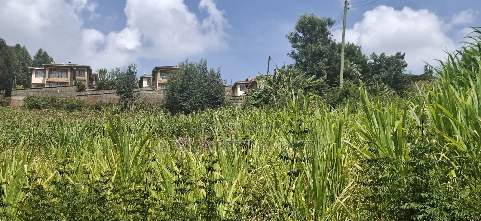 2.5 Acres Available Land for Sale in Kikuyu Muguga in Zambezi/Sigona