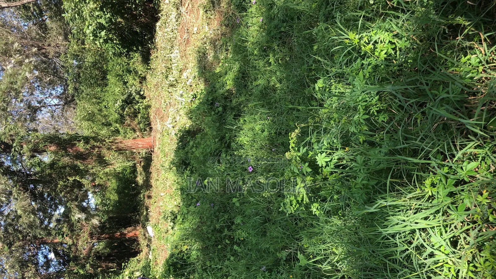 Tatu City Oaklands, Ruiru Land in Murera