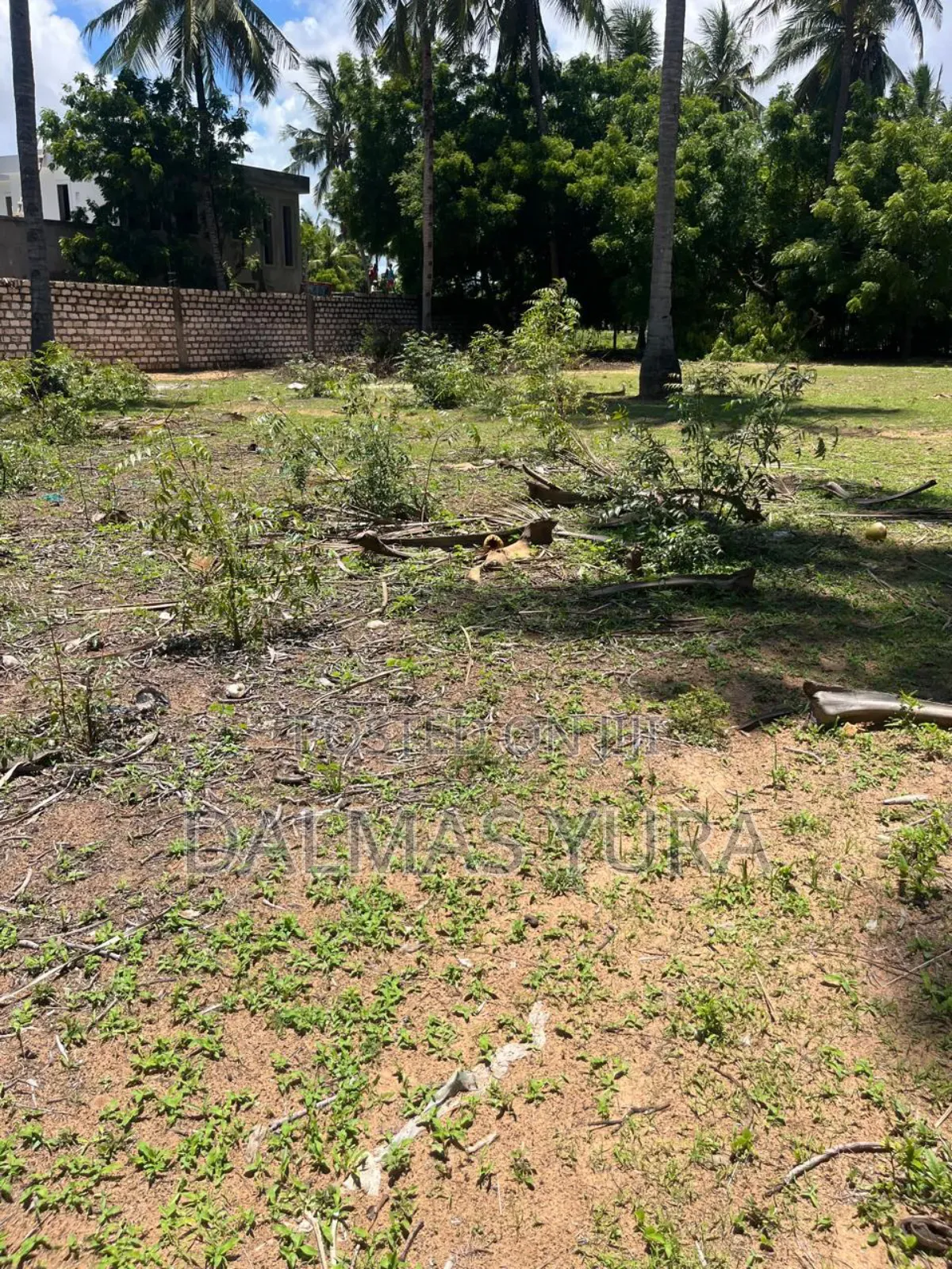A Quarter an Acre Land in Watamu
