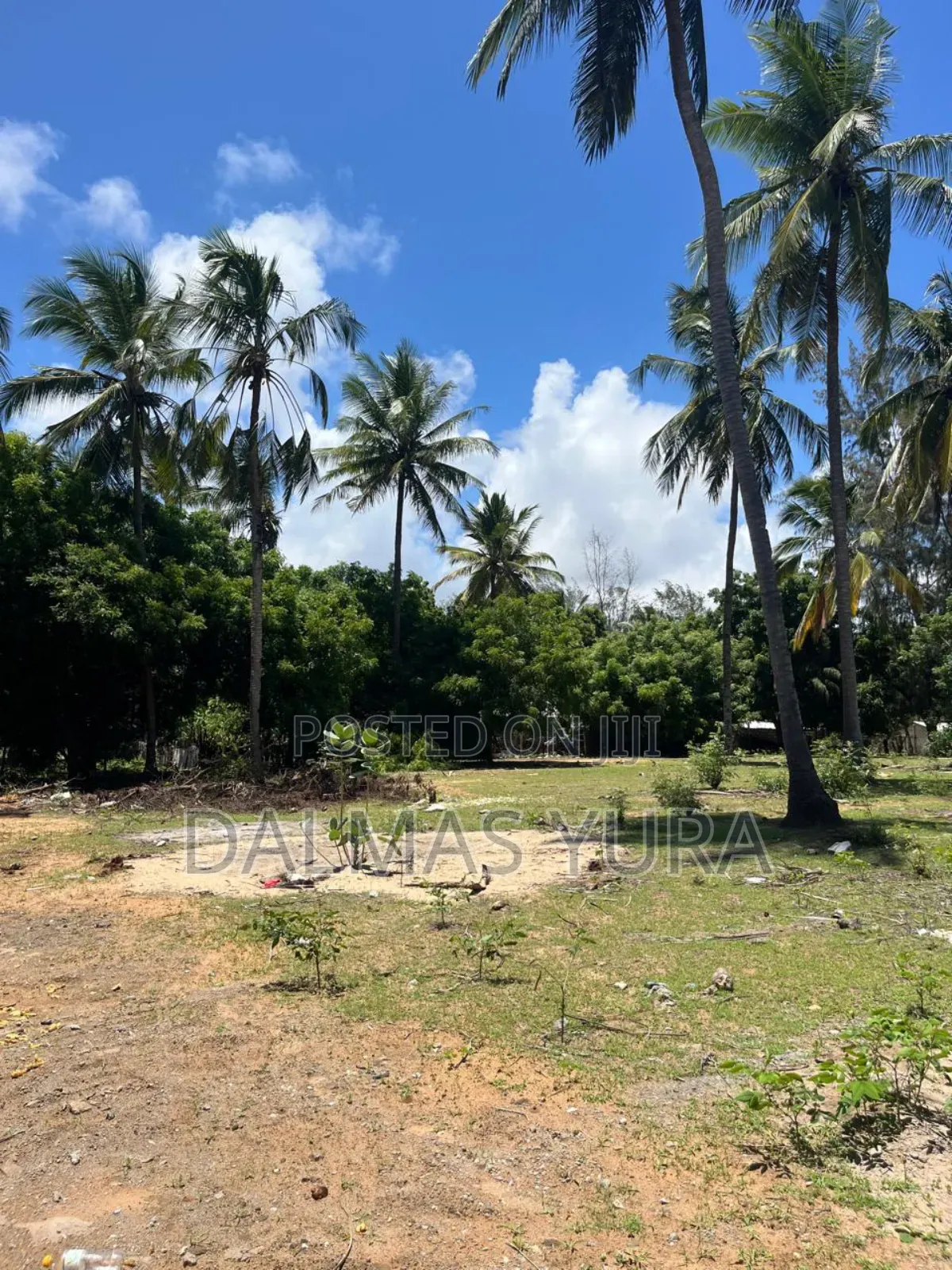 A Quarter an Acre Land in Watamu