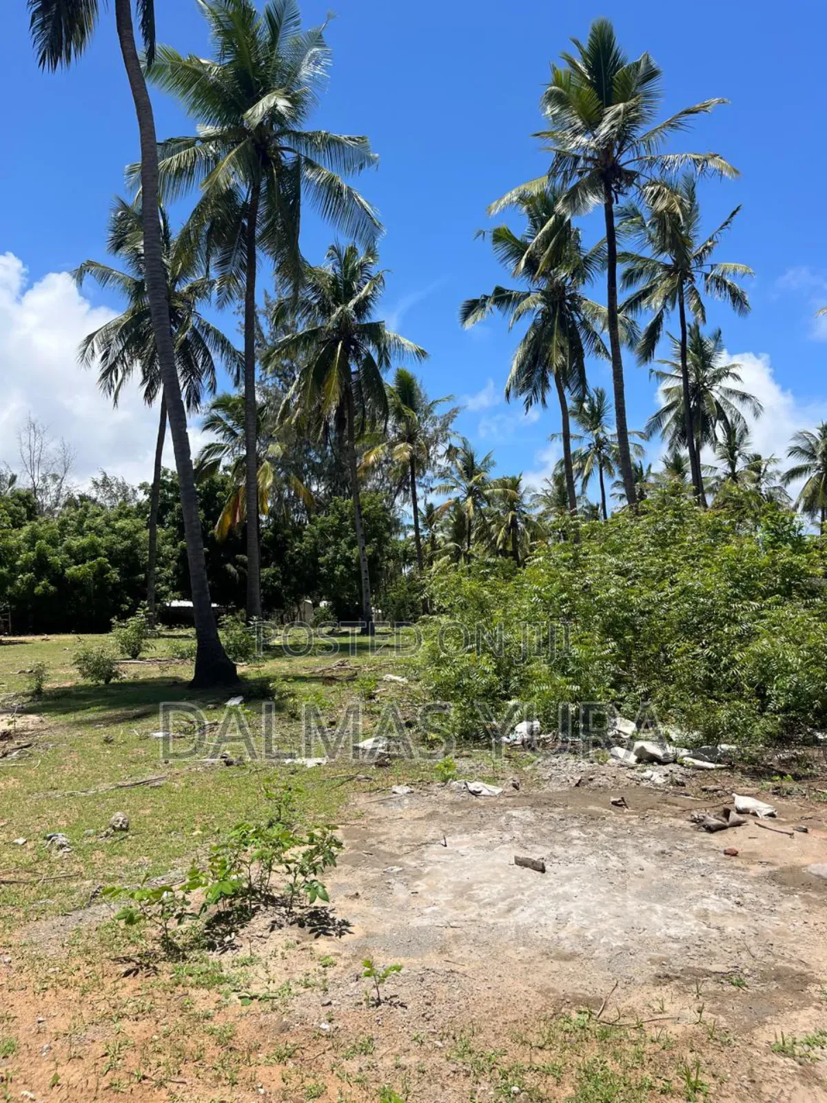 A Quarter an Acre Land in Watamu