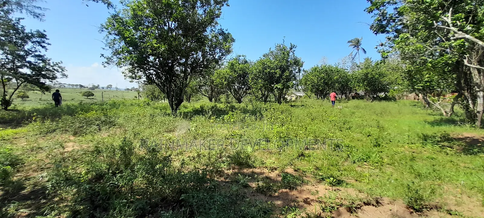Prime 3.5 Acres For Sale – Mtwapa–Kikambala in Kikambala