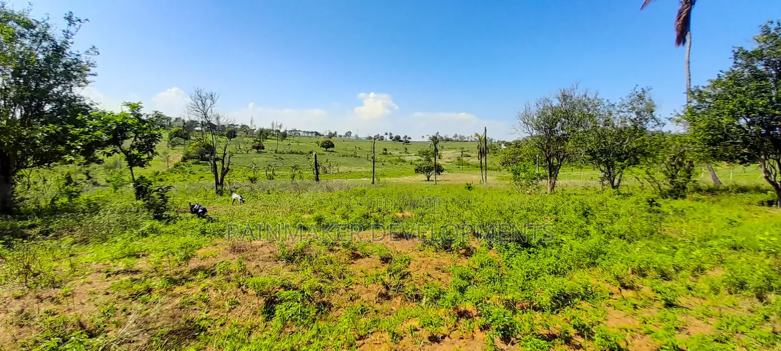 Prime 1.75 Acres For Sale – Mtwapa–Kikambala in Kikambala