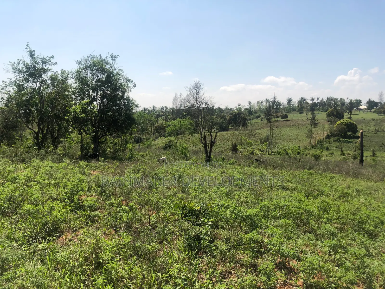 Prime 1.75 Acres For Sale – Mtwapa–Kikambala in Kikambala