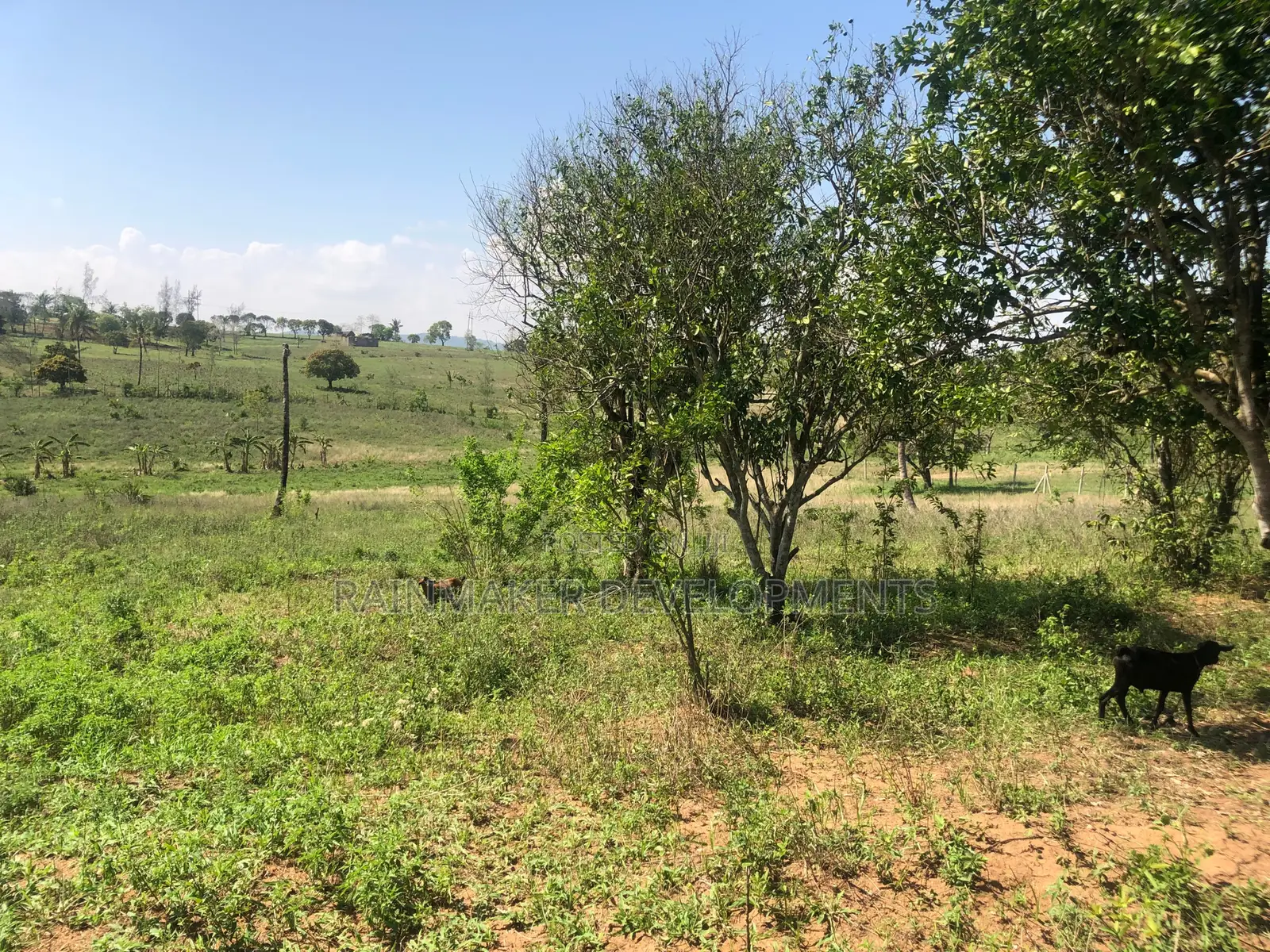 Prime 1.75 Acres For Sale – Mtwapa–Kikambala in Kikambala