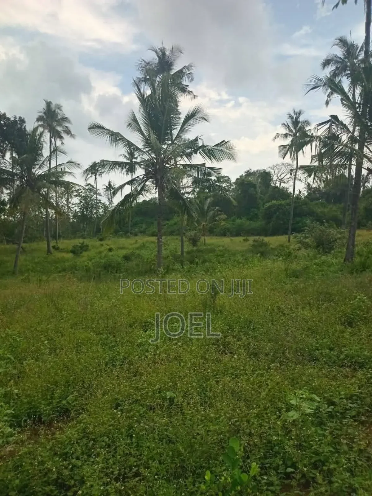 20 Acres Malindi Land, Title Deed Is Available in Town Centre