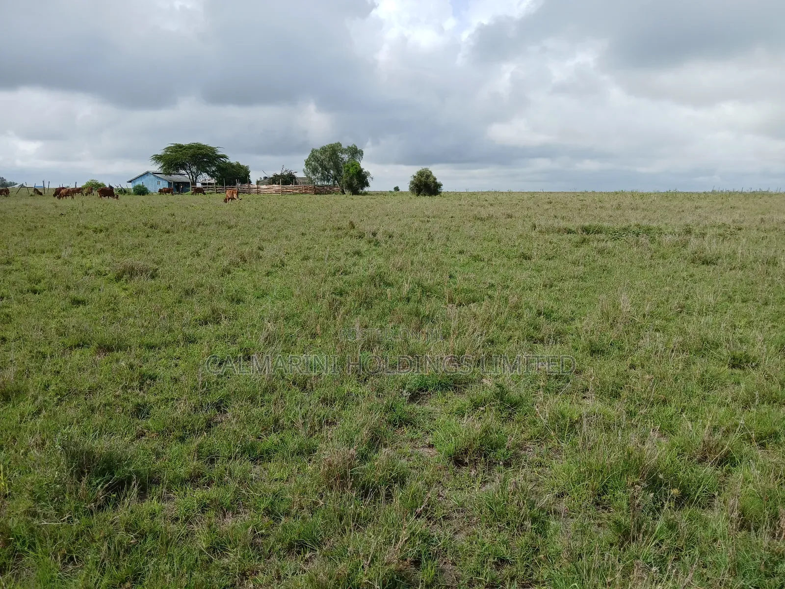 Distress Deal! 3 Prime Acres 1km Off Kiserian-Isinya Tarmac in Kisaju