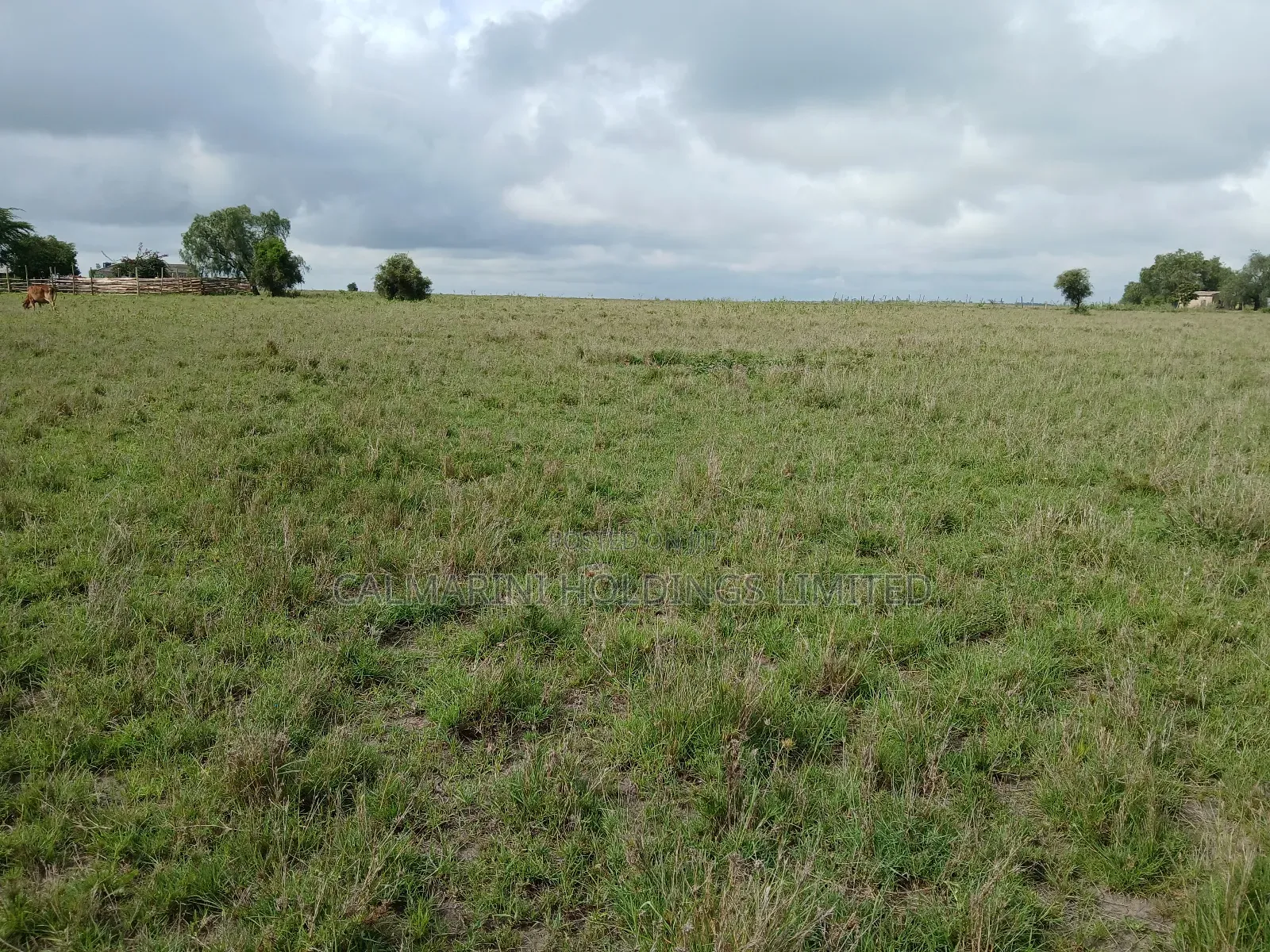 Distress Deal! 3 Prime Acres 1km Off Kiserian-Isinya Tarmac in Kisaju