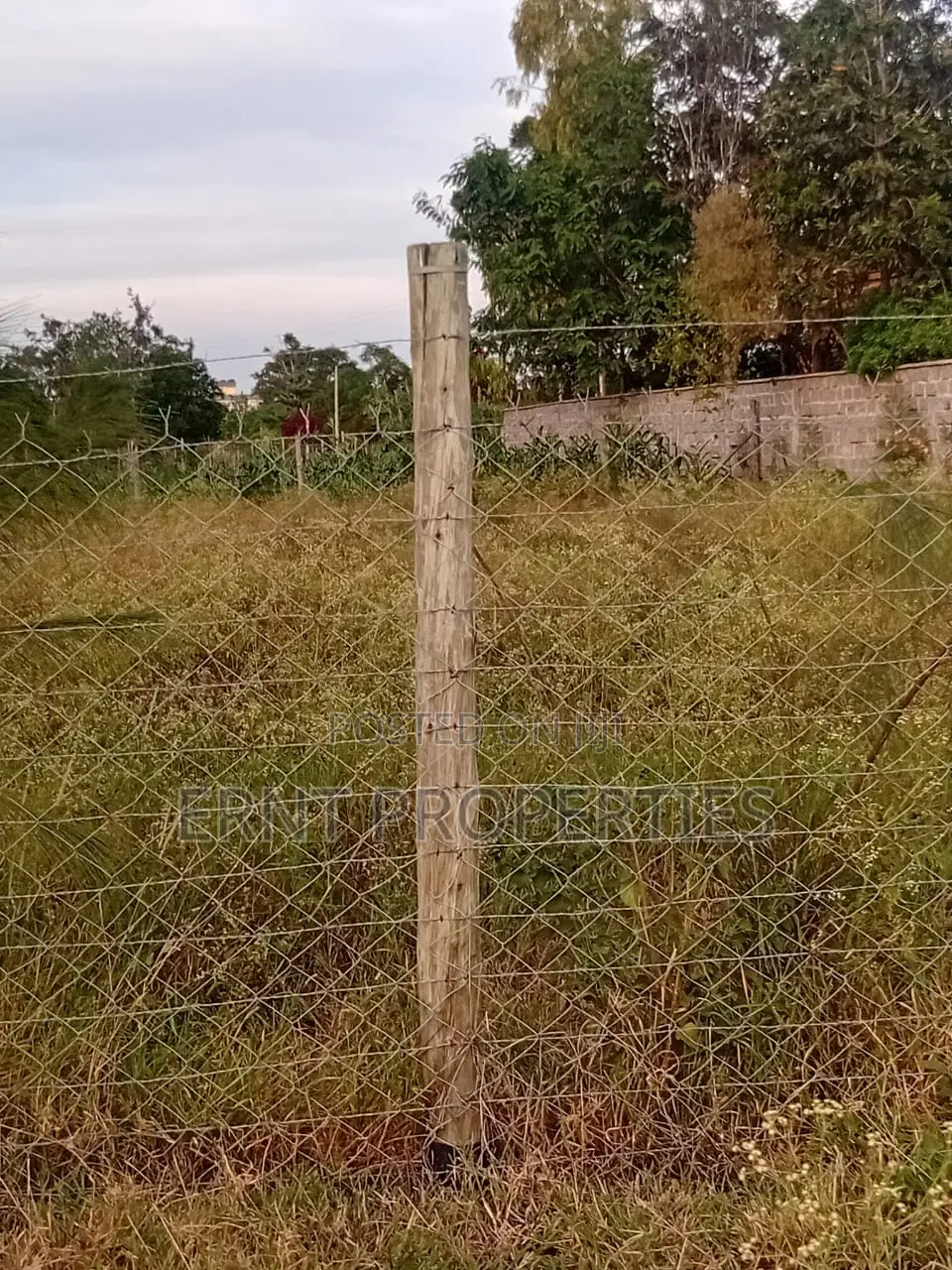 Prime 1/4 Acre Plot 25m From Tarmac for Sale in Korompoi, Kitengela in Kitengela