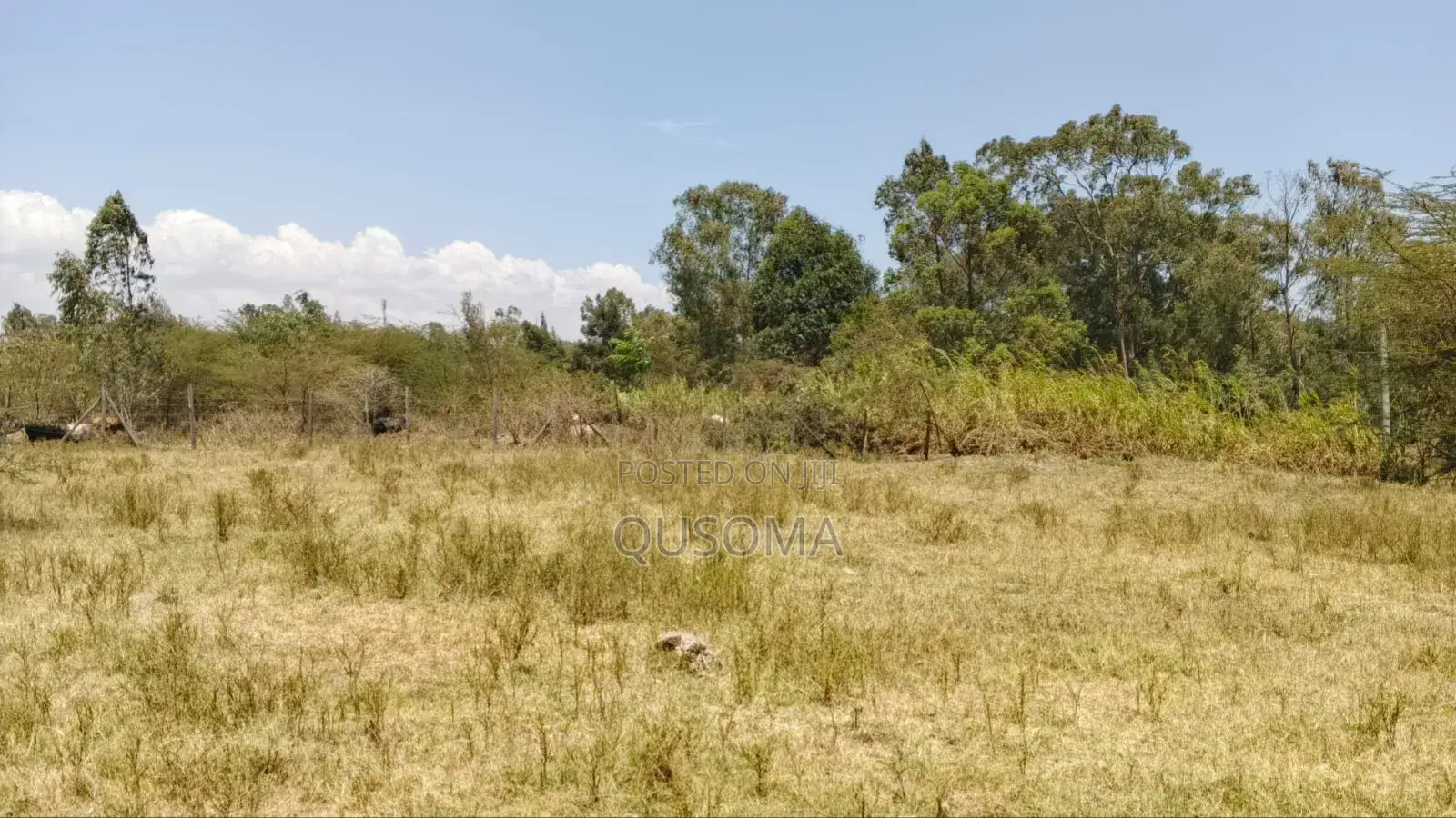 Limited Opportunity: Prime 1⁄4 Acre Fenced Plot in Korompoi ! in Kitengela