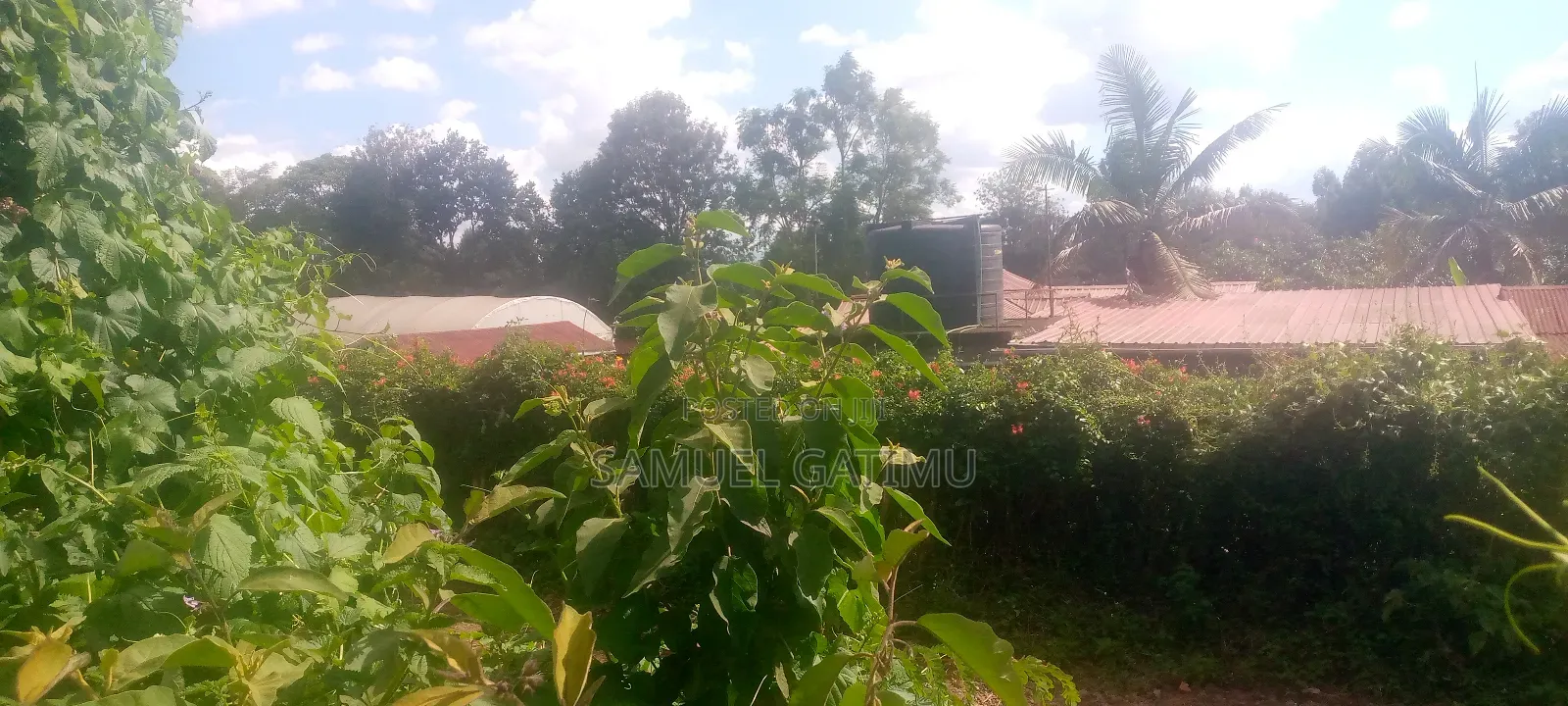 100/100 Njiku White House Kiambu in Kiambaa