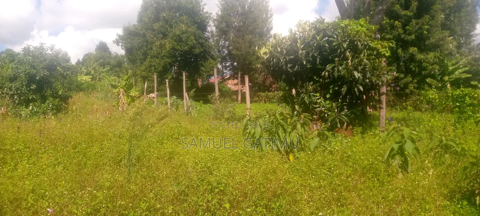 100/100 Njiku White House Kiambu in Kiambaa