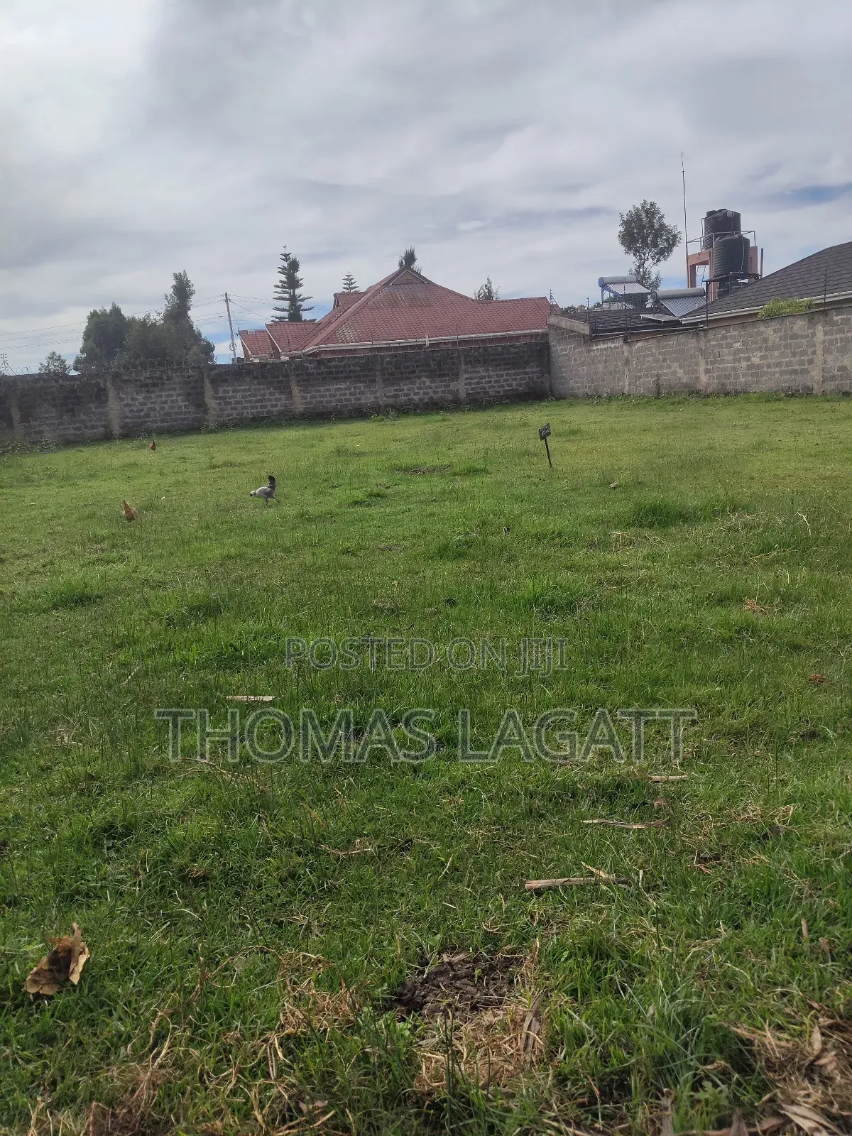 Eldoret Upper-Elgon Elgonview Blossom in Racecourse