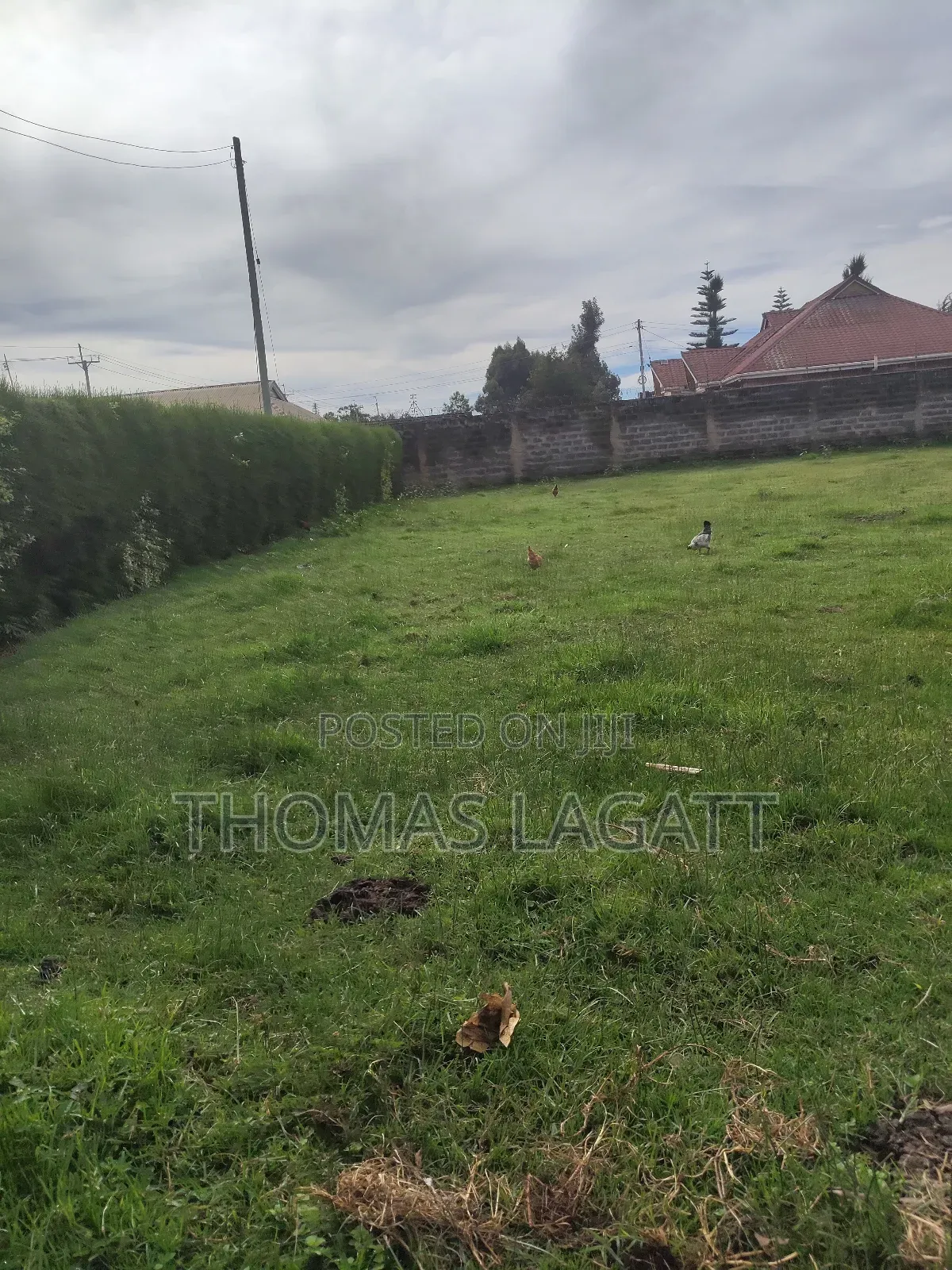 Eldoret Upper-Elgon Elgonview Blossom in Racecourse